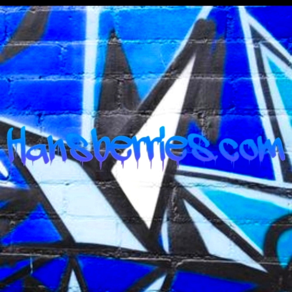 Vintage eyewear on Hansberries.myshopify.com